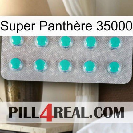 Super Panthère 35000 28